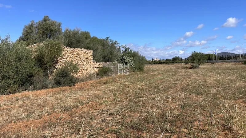 Country plot for sale in Llucmajor — photo 5