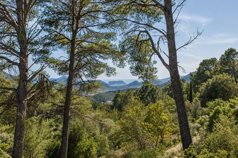Finca with port views and holiday license in Andratx — photo 10