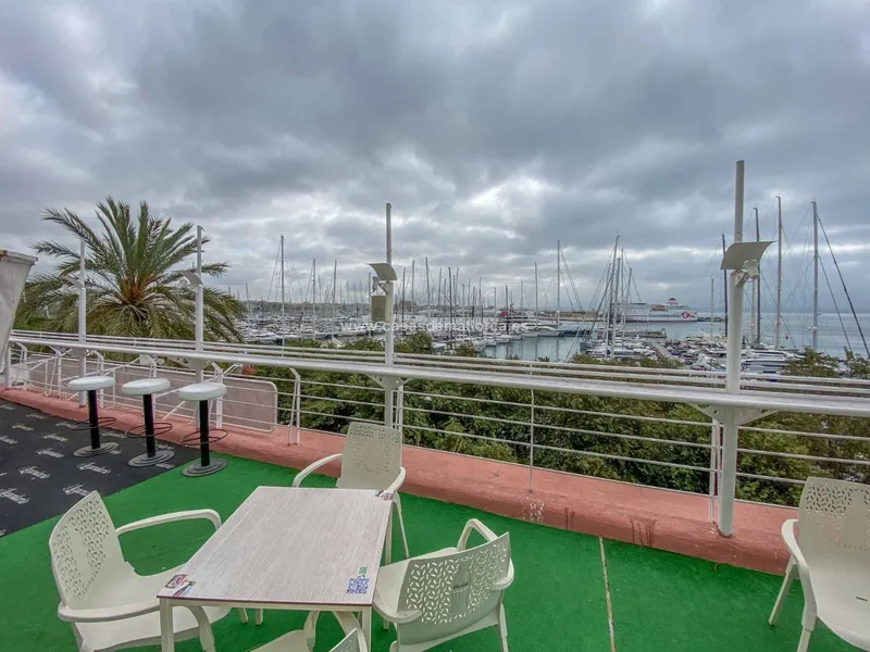 Commercial premises in Palma — photo 1