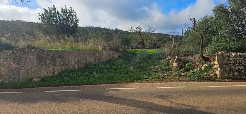Land in Santa Eugènia, Province of Balearic Islands — photo 9