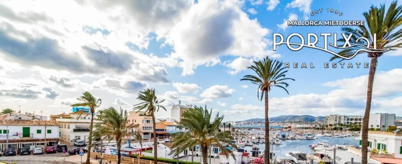 Studio flat for rent in Portixol — photo 1