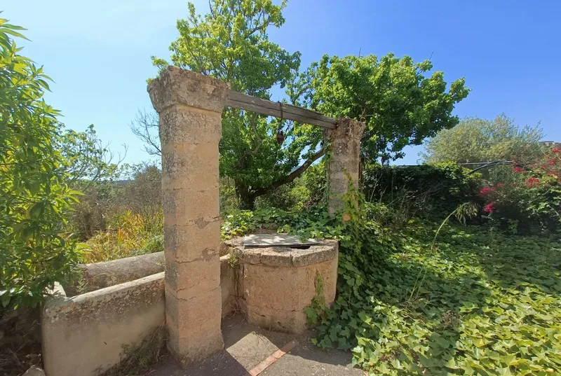 Estate of 140,000 square meters of land with dwelling — photo 2