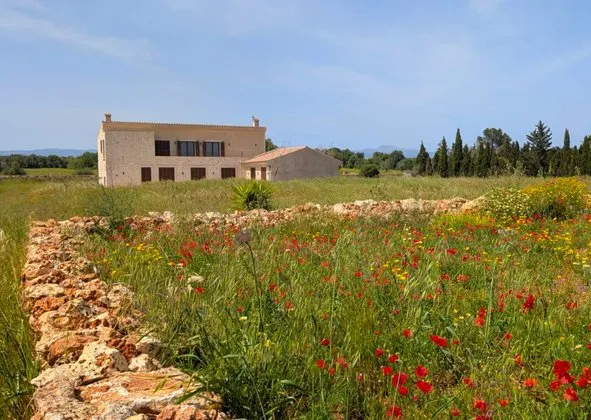Country house in Felanitx centro, Felanitx — photo 2