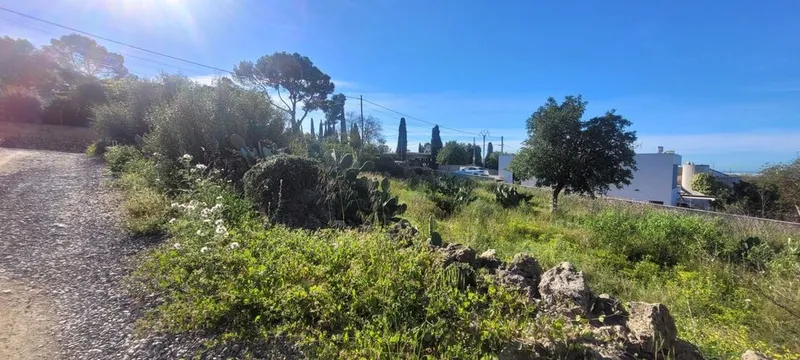 Land in Marratxí, Province of Balearic Islands — photo 9