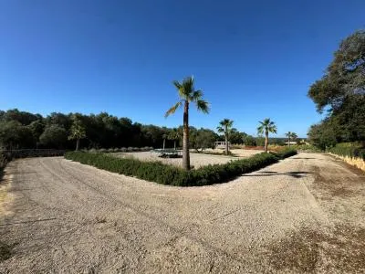 Urbanizable land - Costitx (Costitx) — photo 6
