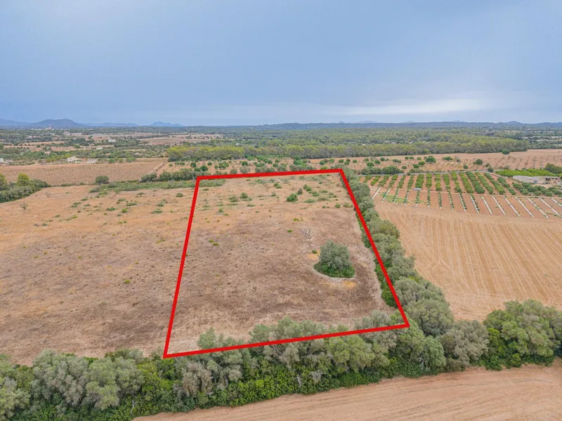 Rustic plot of 31,662 m² in Sencelles — photo 1