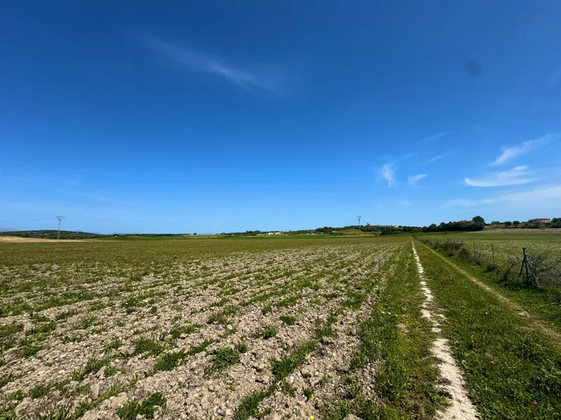 Exclusive Real Estate Opportunity in Petra Dream Plot with Endless Possibilities — photo 10