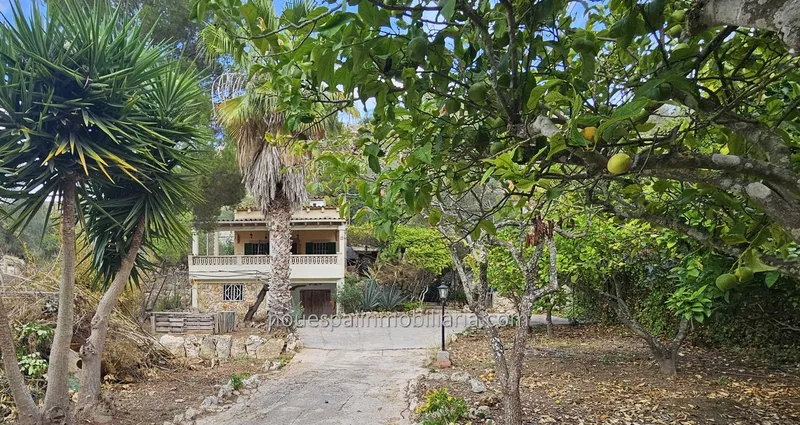 Finca rustica en Ses Coves, Santa Eugenia — photo 4