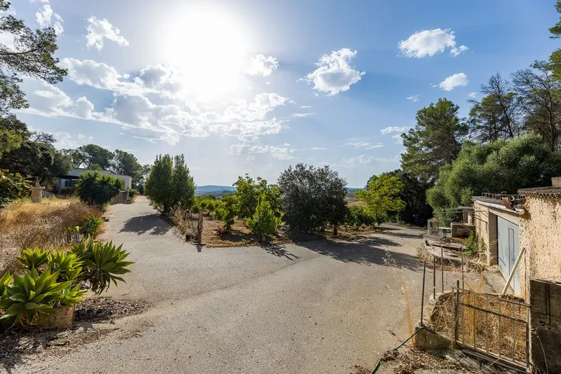 Rustic finca with panoramic views in Algaida, ideal for growing vines and olive trees. — photo 11