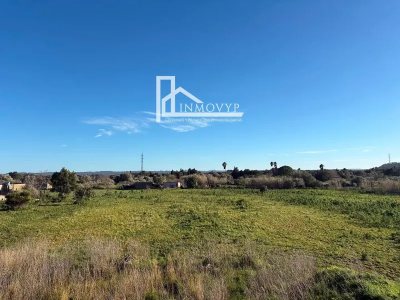 Magnificent rustic estate for sale in a very quiet area of the municipality of Búger, between Búger and Campanet — photo 4