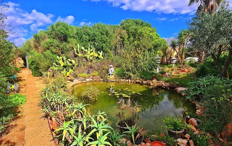 Finca with great views 6 km from Es Trenc beach - Campos — photo 4