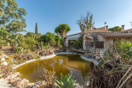 Muro, Idyllic finca in Muro with pool — photo 2