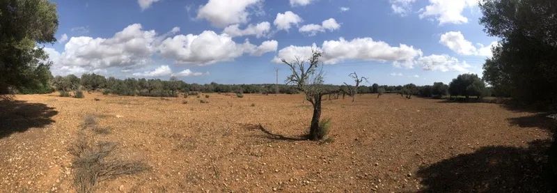 Plot on the outskirts of Ses Salines — photo 1