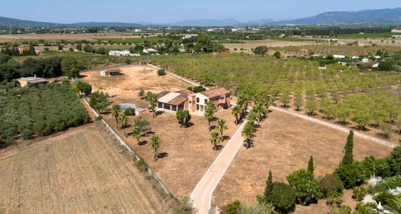 Grosse Finca bei Binissalem – Exklusives Chalet mit großem Grundstück im Herzen Mallorcas — photo 8