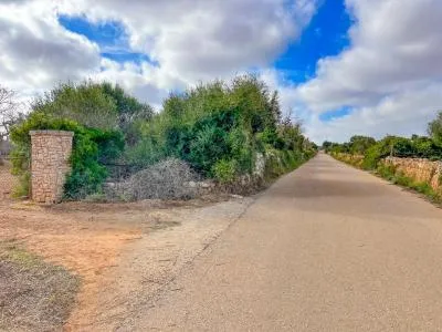 Single family house - Felanitx, built surface 260m², plot surface 15000m², 4 bedrooms, 5 bathrooms,... — photo 11