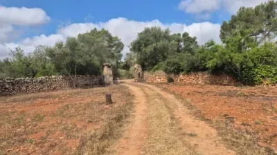 Casa rústica en Llucmajor — photo 4