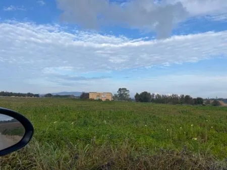 Rural Land - Manacor, Plot Surface 22000m² — photo 2