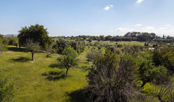 A Haven in the Tramuntana: Plot with Project and License Ready to Build — photo 6