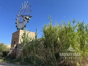 Luxurious Finca near Es Trenc Beach with Guest House for Sale — photo 1