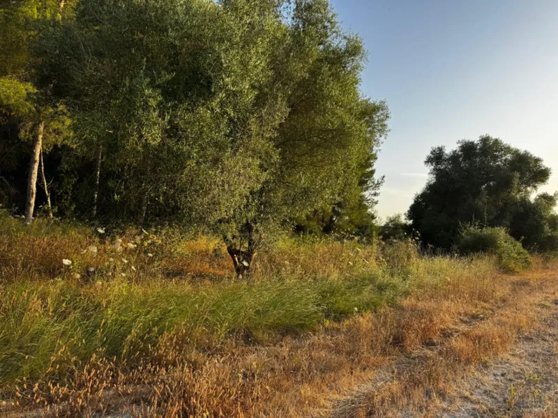 Exceptional rustic building plot with impressive ... — photo 10
