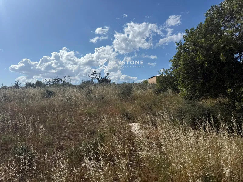 Plot — photo 8