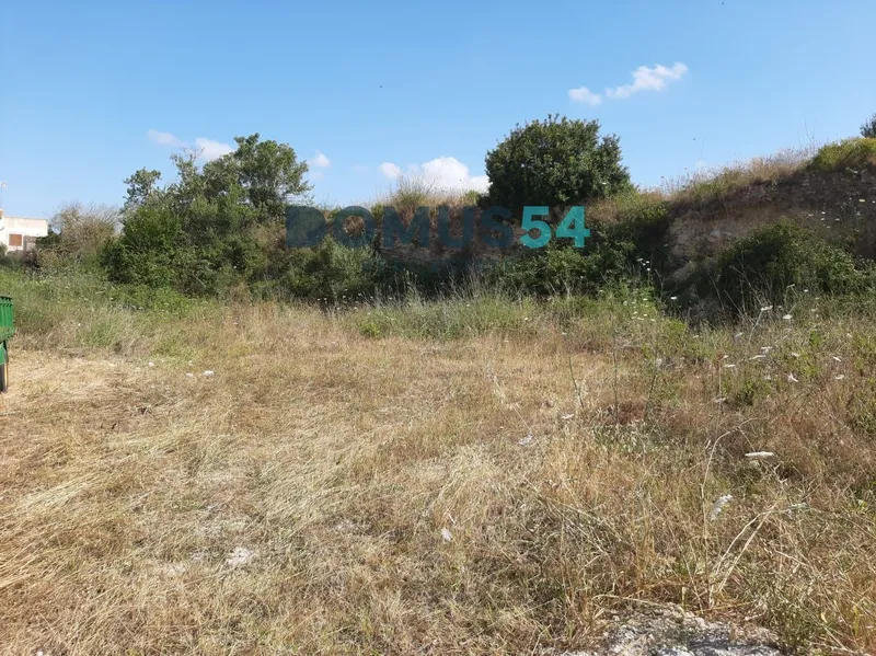 plot in Santa Margalida — photo 2