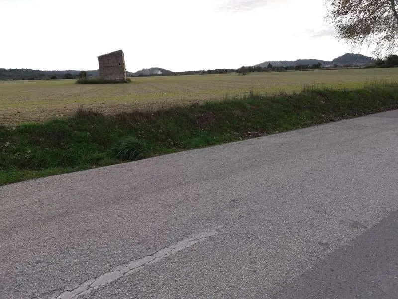 2 plots with 31400m2 buildable in Sineu — photo 6
