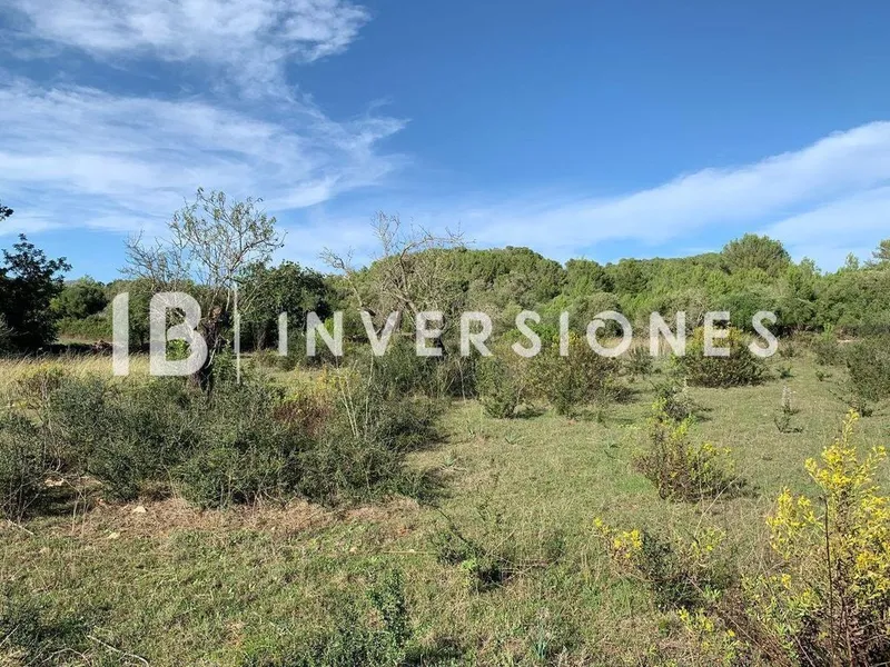 Land in Capdepera, Province of Balearic Islands — photo 9