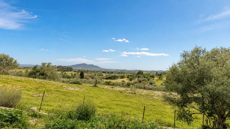 Buildable plot of 14,032 m2 in Moscari — photo 2