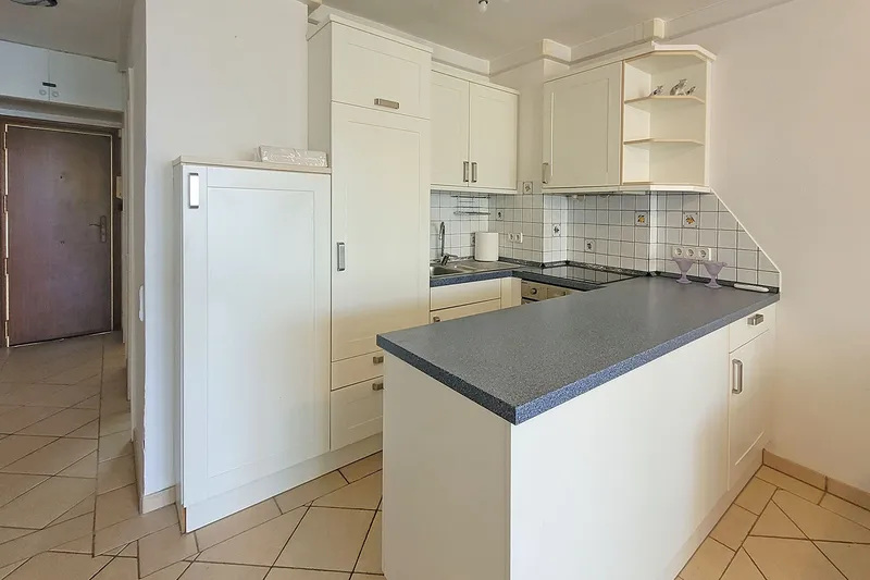 Furnished 1-bedroom apartment with sea views for rent — photo 4