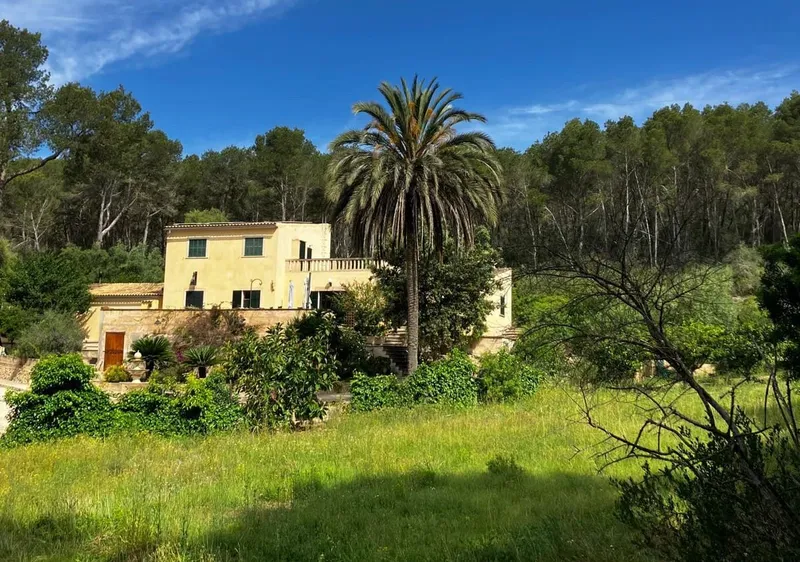 Spacious renovated finca — photo 1