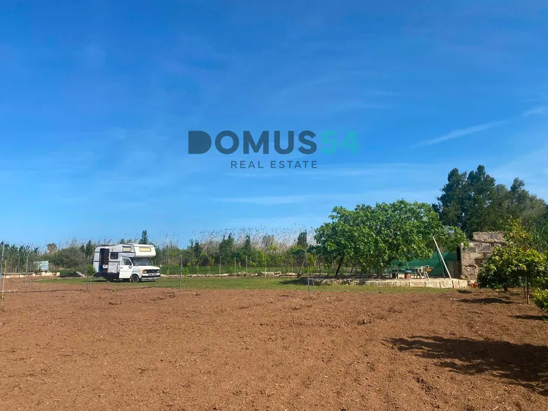 plot in Sa Pobla — photo 12