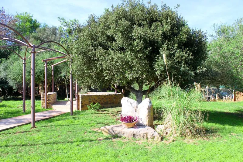 Exclusive Natural Stone Finca with ETV — photo 12