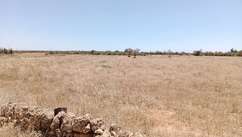 Rustic Land in Campos — photo 3