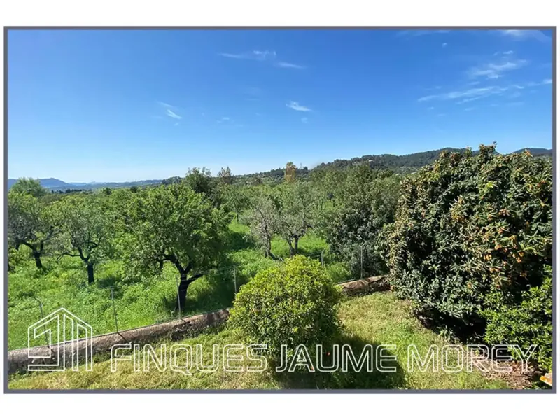 Si buscas tranquilidad en uno de los mejores pueblos de la isla situado a los pies de la sierra de Tramuntana, esta es la casa que estabas b — photo 7