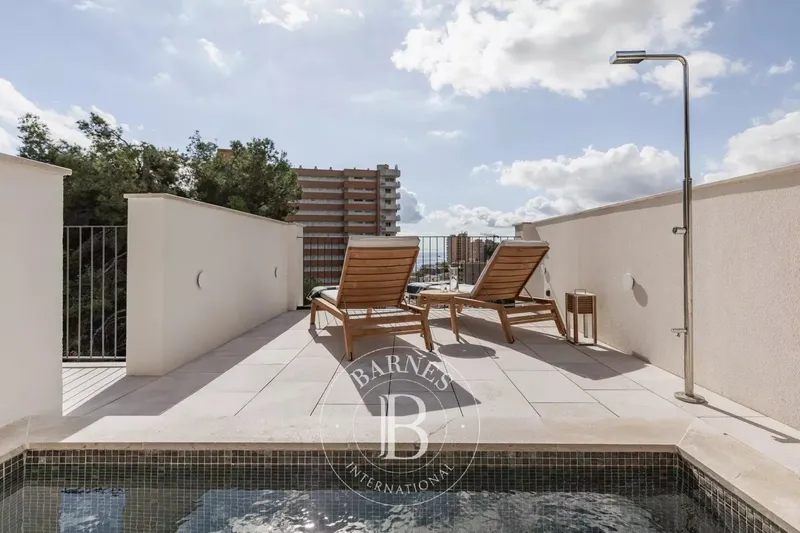 Sea-View Penthouse in Cala Major with Private Pool and Terrace — photo 4