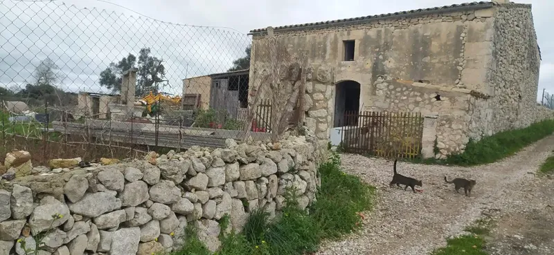 Beautiful rustic property, located in the municipality of Llubí, in a very quiet and easily accessible area. — photo 2
