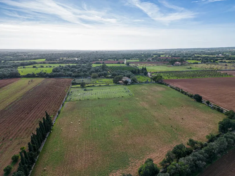 Magnificent rustic estate in the Porreres area — photo 12