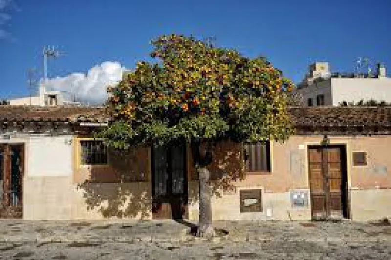 Palma – Santa Catalina – Fisherman’s house – Letting — photo 1