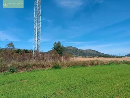 Rural Land - Sa Pobla (Pobla (Sa)), Built Surface 46m², Plot Surface 9574m² — photo 2