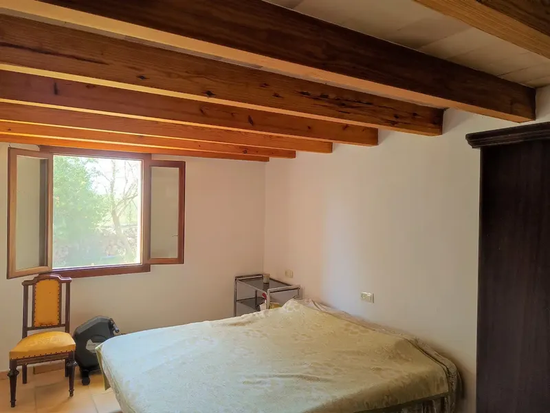 Rustic estate for sale in the municipality of Manacor, Ribera area, between Vilafranca de Bonany and Felanitx, with a total of approximately 7,281 m2. — photo 11