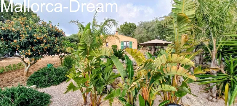 Manacor Son Macià: A dream finca with a pool and panoramic views on a beautiful plot — photo 7