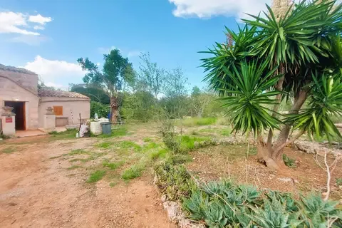 Cortijo in Muro, Mallorca — photo 8