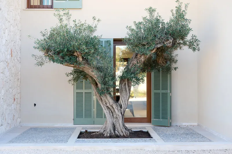 Finca Son Galambre - idyllic newly built finca with sea views and dreamlike Mediterranean garden - Marcel Remus Real Estate — photo 6