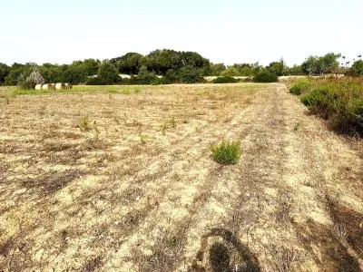 Rural Land - Sineu, Plot Surface 21,300 m² — photo 9