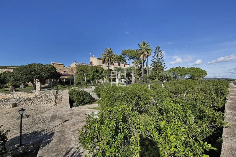 Rustic Finca for sale in Montuïri — photo 1