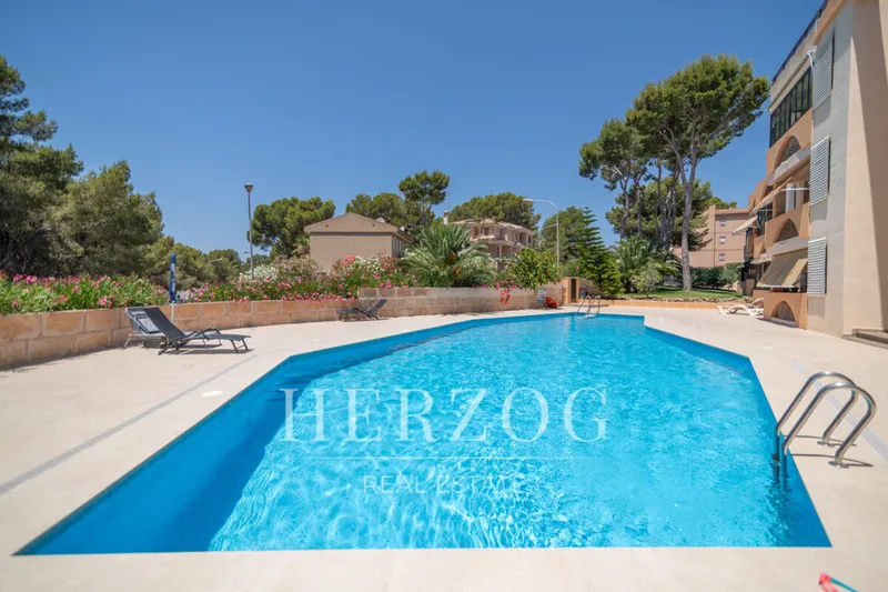 Charming apartment in Paguera, offering a Mediterranean lifestyle just a short walk from the beach. — photo 1
