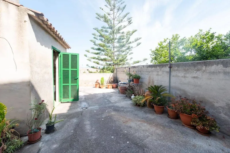 Luxury home in Sineu, Province of Balearic Islands — photo 2