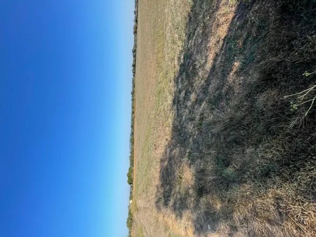 Plot with project in Son Valls — photo 5