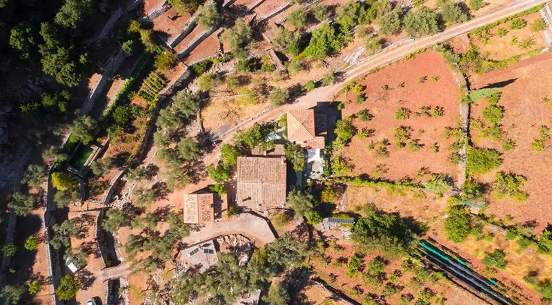 Rustic finca in the heart of the Sierra de Tramuntana — photo 6